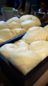 brioche-pousse