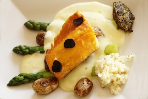haddock