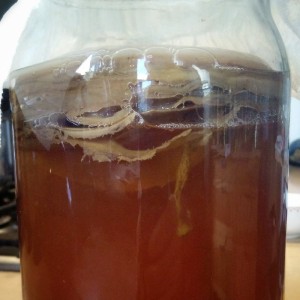 kombucha